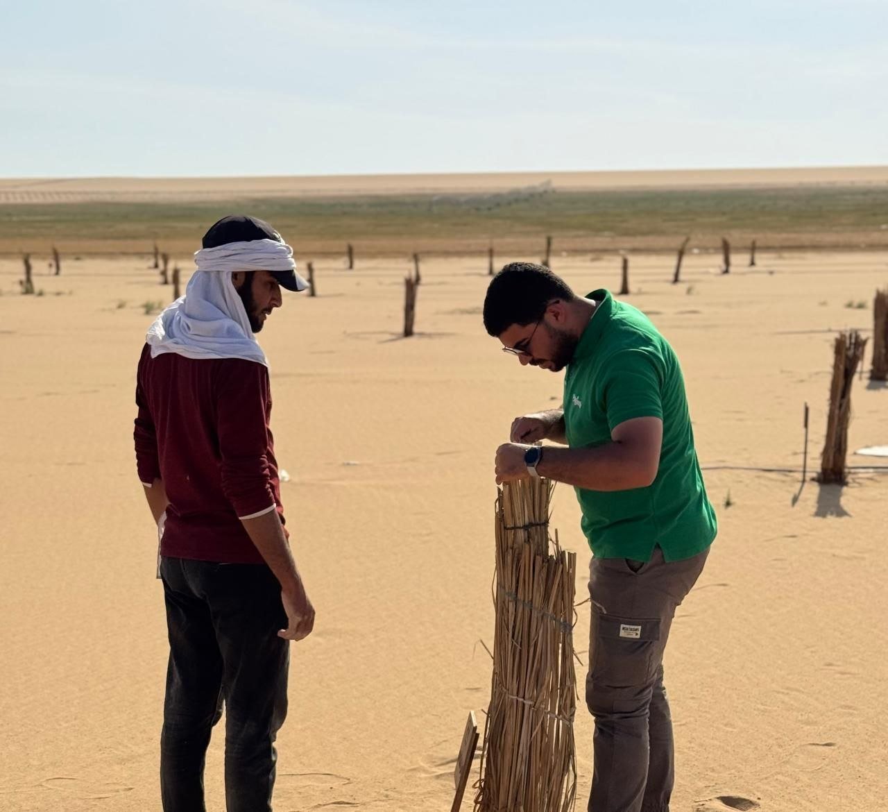 نخيل مزرعة الحاج عبدالعزيز الحنفي